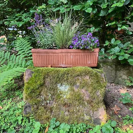 Appartement In Historischer Muehle Buchen (Odenwald, Baden-Wurttemberg)