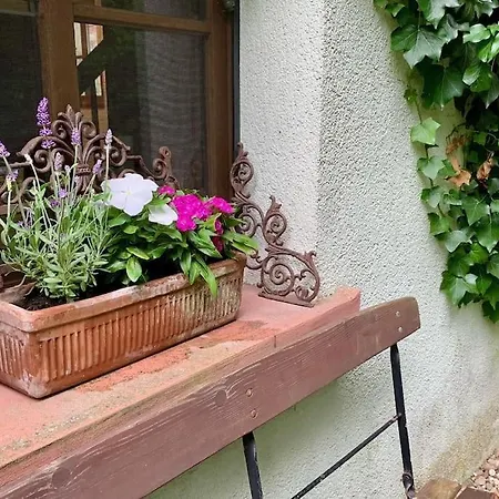 In Historischer Muehle *