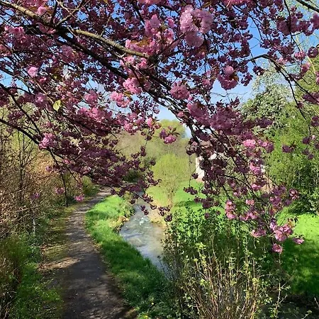 In Historischer Muehle * בוכן