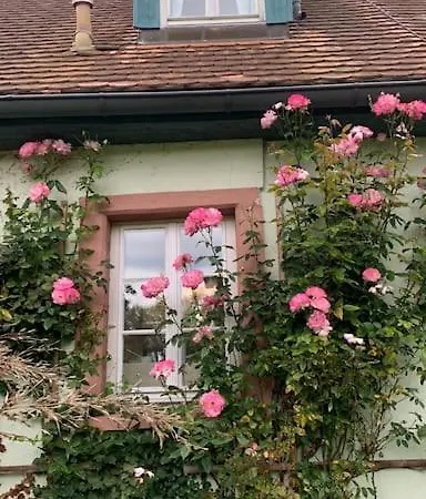 In Historischer Muehle Appartement