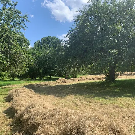 In Historischer Muehle *