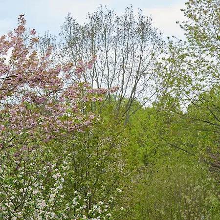 דירה In Historischer Muehle בוכן