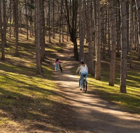 Appartement In Historischer Muehle *